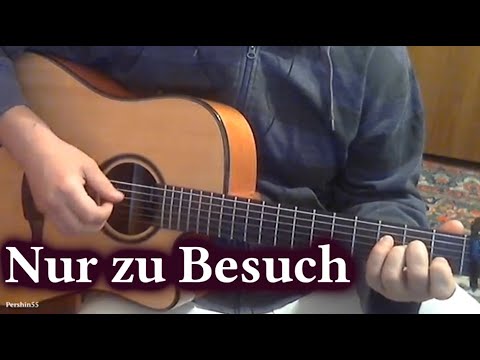 Nur Zu Besuch - Die Toten Hosen