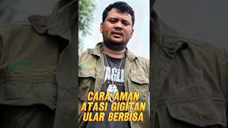 Download lagu Cara Aman Atasi Gigitan Ular Berbisa Ala Panji Petualang mp3