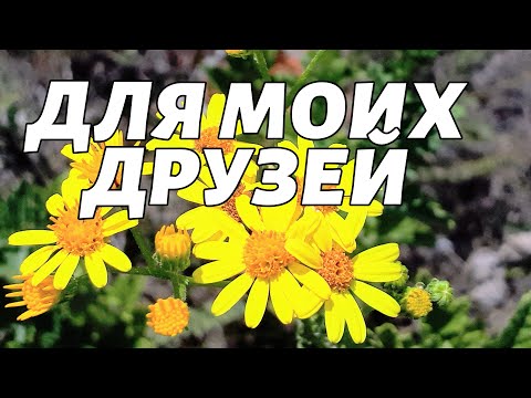 ДЛЯ МОИХ ДРУЗЕЙ!!!Музыкальная открытка!!!