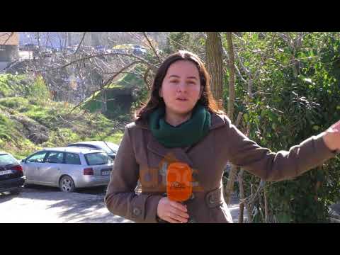 Fier, gati tritoli per ndertimet pergjate Gjanices | ABC News Albania