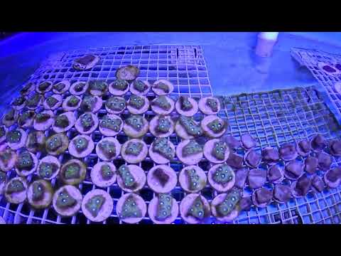 Marine Innovation Hub Punta Cana