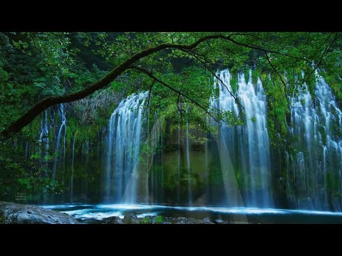 2 Horas de Calma con Jesús: Descansar, Orar,Melodía de Paz para Dormir,Melodía con Sonidos Naturales