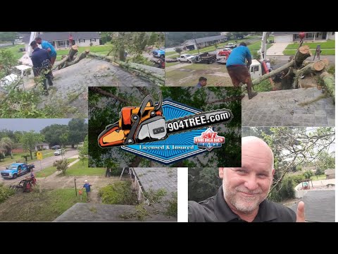 Emergency Hazardous Tree Removal
