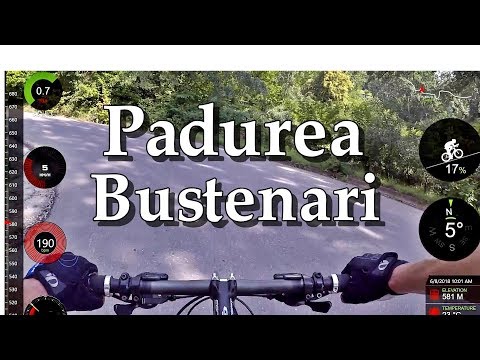 Catarari de Top din Prahova - Episodul 10 - Padurea Bustenari