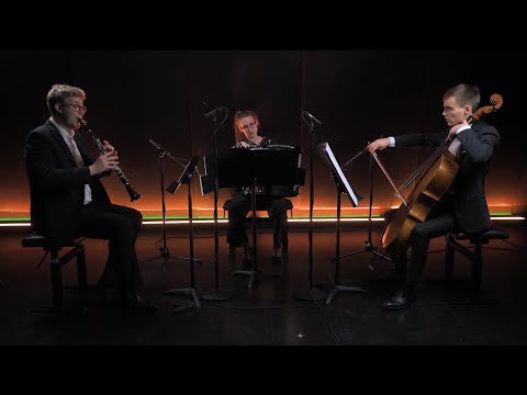 Trio Tempestoso - Perttu Haapanen - ...hojas de nubes