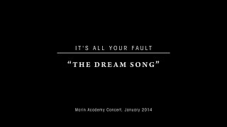 It's All Your Fault -- The Dream Song