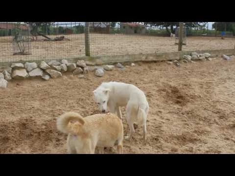 Vídeo de NUVEM