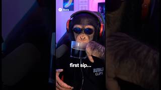 Download lagu Ronald drinks coffee for the first timeβ¦ now heβs hyper! β‘β mp3 Download lagu Ronald drinks coffee for the first timeβ¦ now heβs hyper! β‘β mp3