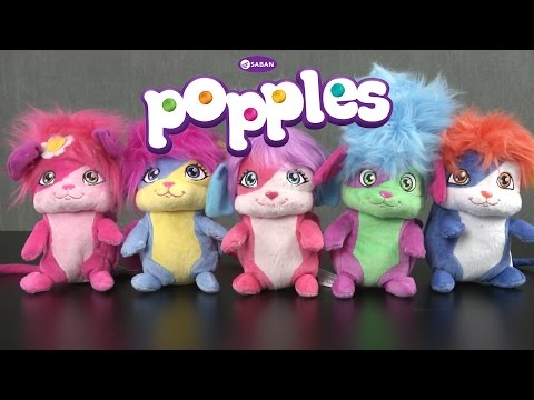 popple teddy bears