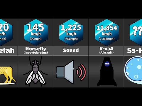 Comparison: Fastest things (in each kind)