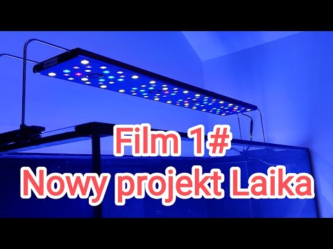 Nowe Akwarium Morskie 500 L oraz Nowa Lampa film 1# Nowy Projekt Laika 😀
