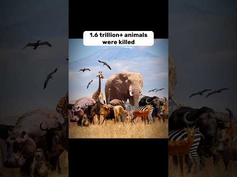 Worst Things that happened in 2022 year 😞 #shorts #sad #2022