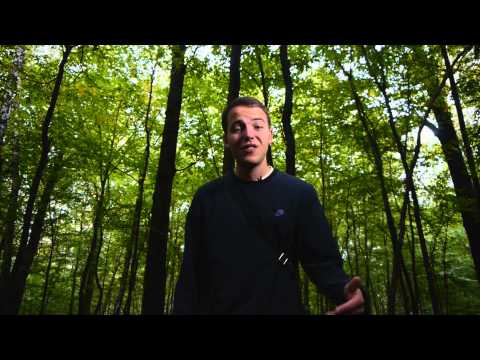 Wiciu (Popkiller Młode Wilki 2013: Czysta Forma #3)