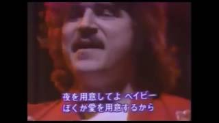 TOTO I&#39;ll supply the love live 1980