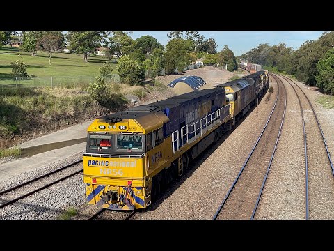 Pacific National NR56, AN3, NR88 & NR22 with 4MB4 at East Maitland - 20/6/24