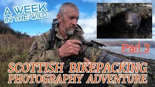 Epic Bikepacking Trip -  Wildlife Adventure -  Mustelids Galore