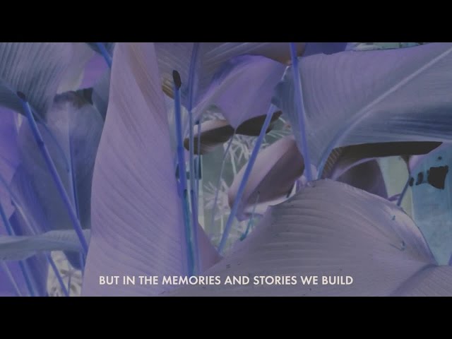 Jose Gonzalez - Stories We Build, Stories We Tell (Instrumental)