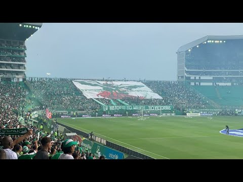 "✅Deportivo Cali y el apoyo de su hinchada en PALMASECA." Barra: Frente Radical Verdiblanco • Club: Deportivo Cali