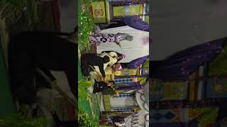 Download lagu DERAMA FIR'AUN !! mp3 Download lagu DERAMA FIR'AUN !! mp3