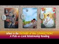 What is the Future of this Connection - A Detailed Relationship Reading🥰✨👉⌛💞🤗 #pickacardtarotreading