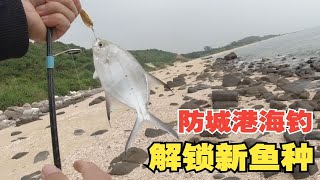 路亚解锁新鱼种，我还以为是白鲳鱼