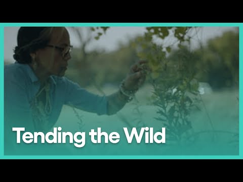 Tending the Wild (Hour Long Special) | PBS SoCal