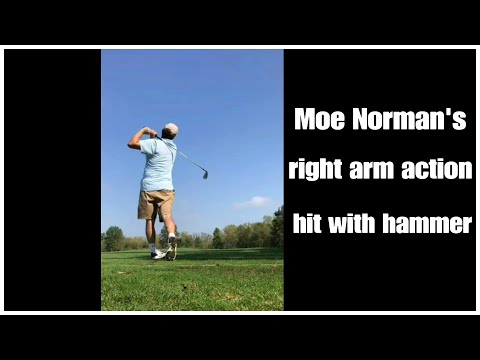 Moe Norman’s Right Arm Action : Hammer It : Feel Golf : Beginner 3