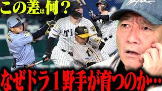 【徹底分析】『共通するのは〇〇‼︎』阪神ドラ1野手がなぜ育つのか⁉︎他球団と何が違うのか高木の見解を語ります！【プロ野球ニュース】