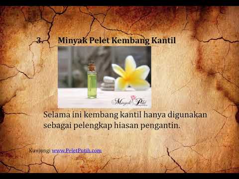 Titik-titik kecil merah pada kulit penis Dan obat-obatan untuk meningkatkan potensi