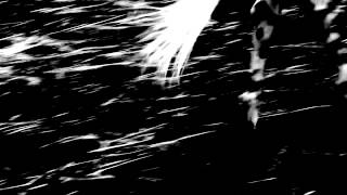 The Luyas "Montuno Teaser" (Official Video)