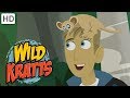 Wild Kratts 🌳 Explore Madagascar! | Kids Videos