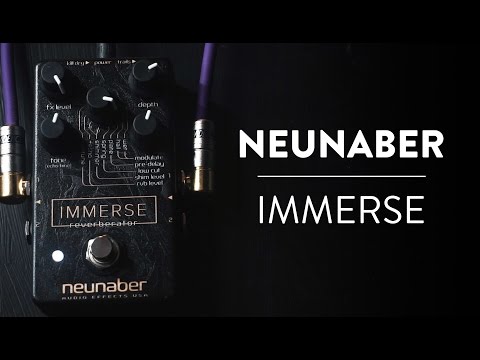 Neunaber Audio Immerse FREE SHIPPING image 8