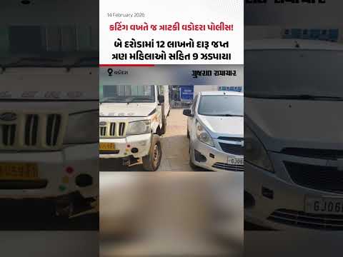 કટિંગ વખતે જ ત્રાટકી Vadodara પોલીસ! બે દરોડામાં 12 લાખનો દારૂ જપ્ત, ત્રણ મહિલાઓ સહિત 9 ઝડપાયા