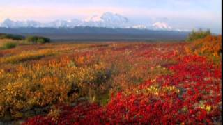 Holland America Alaska Cruise Tours,Vacations & Travel Videos