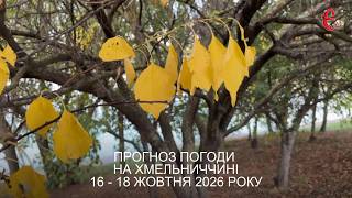 Погода на вихідні: ситуація буде стабільною, але є нюанс