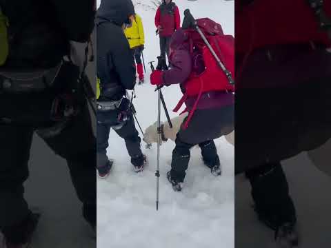 Σκύλος επέζησε εννέα ημέρες σε υψόμετρο 1.900 μ.- Τον εντόπισε τυχαία ομάδα ορειβατών (2)