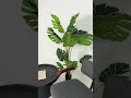 Youtube-видео 