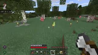 マイクラ　ディナー02