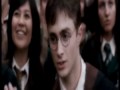 Harry Potter Harry Hermione