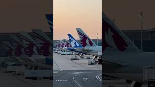 Cherry picker views at @HIAQatar