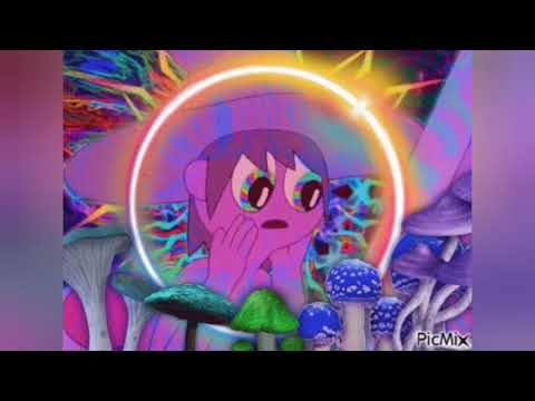 Fuck Naikis - Zeta Distorsión & XxjaicoxX (Audio)