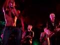Balkan Beat Box- La Bush Resistance (Live)