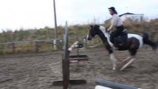 Emma Gibbons and Riverford Lovebug at Home.
