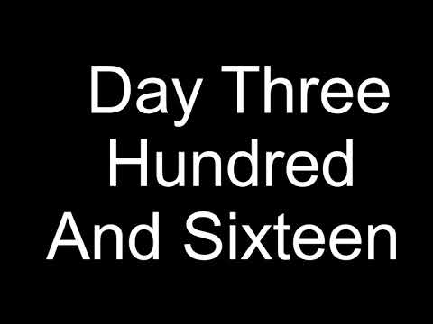 Day 316