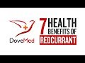 7 Health Benefits Of Redcurrant