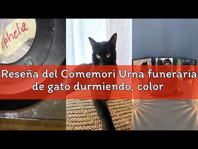 Vídeo relacionado con Comemori urna funeraria en forma de gato durmiendo, color marrón claro (beige, arena)