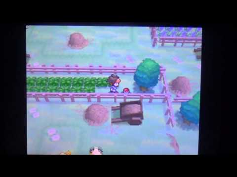 Pokemon Black 2 Ep.3: A wild Goose appears