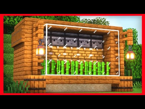 Minecraft: Come fare una farm automatica di canne da zucchero in 1.19!