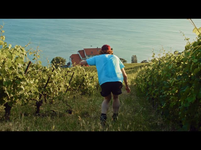 Inline downhill - Lavaux end of week