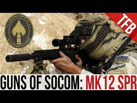 Guns of SOCOM: The Mk12 Special Purpose Rifle